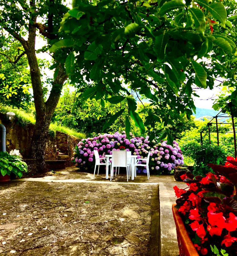 Вилла Il Ciliegio Stella Cilento Экстерьер фото